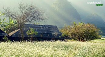 Khám phá những mùa du lịch đẹp lung linh tại Mộc Châu