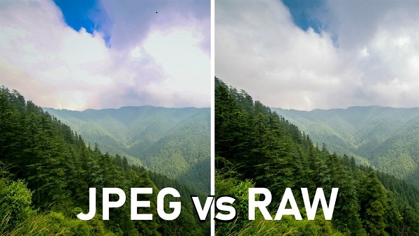 Sự khác nhau giữa JPEG vs RAW