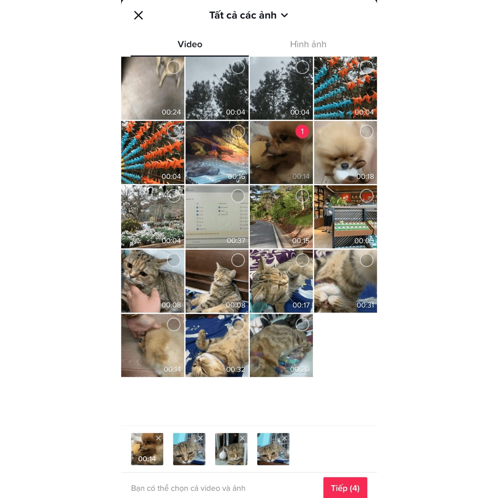 Cách ghép video ảnh trên tiktok trực tiếp trong ứng dụng