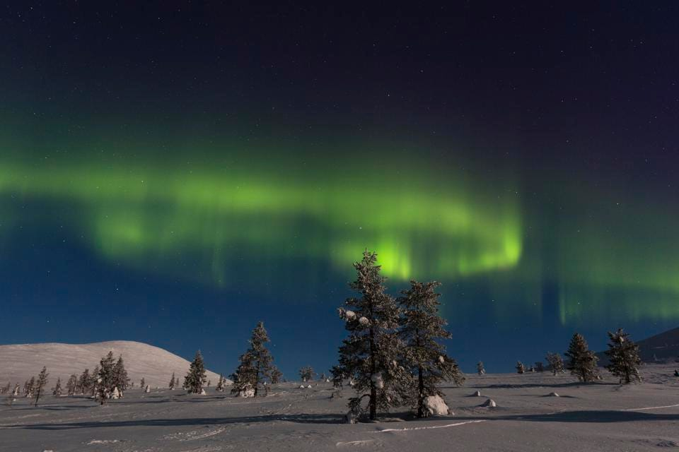 Cực quang borealis trên Vườn quốc gia Pallas-Yllastunturi ở Lapland, Phần Lan
