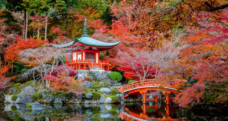 Vườn bách thảo Kyoto ở Nhật Bản