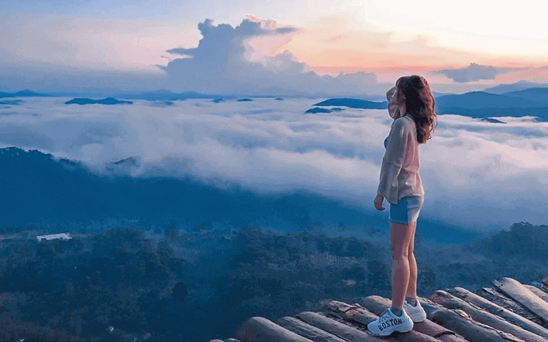 Cầu gỗ săn mây Đà lạt hòa trong khung cảnh ảo diệu đất trời