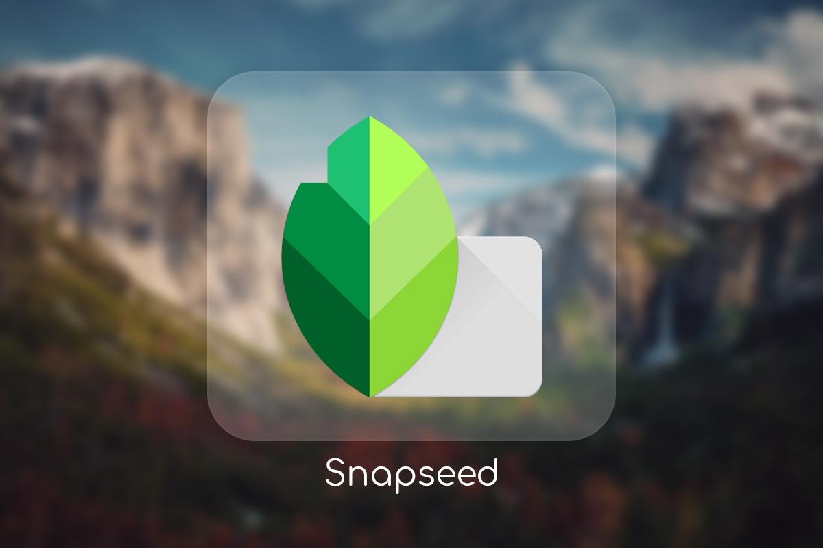 Logo của Snapseed