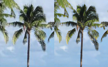 Những app chỉnh sửa ảnh rõ nét – “Cứu tinh” cho bức ảnh của bạn