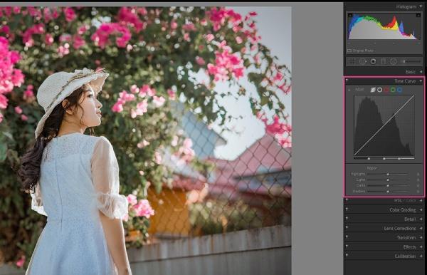 Giao diện Tone Curve trong Lightroom