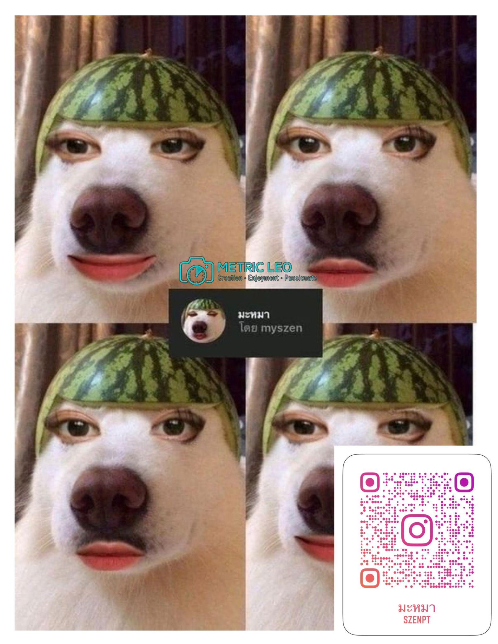 Scan mã QR để sử dụng thử filter trên Instagram