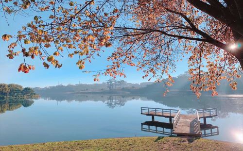 Khung cảnh thơ mộng tại hồ Xuân Hương
