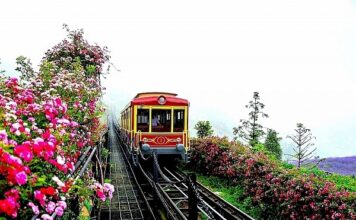 5+ Địa điểm chụp hình đẹp ở Sapa