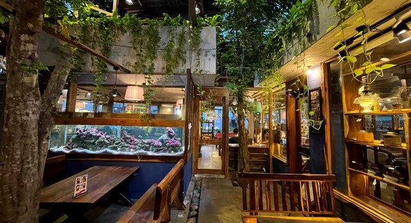 An cafe được trang trí với nhiều cây xanh