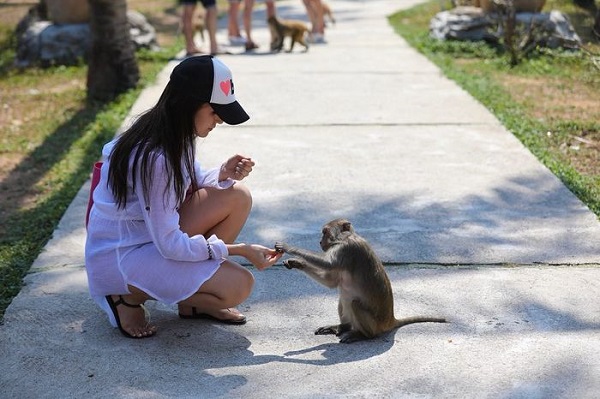 Khám phá “Hoa Quả Sơn” ngay tại Việt Nam