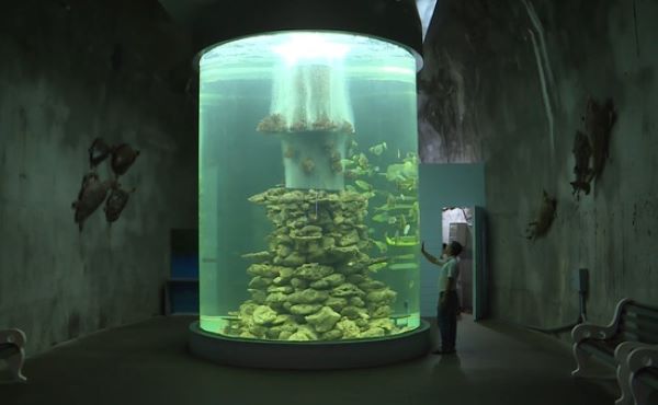 Bảo tàng Hải dương học ở Nha Trang