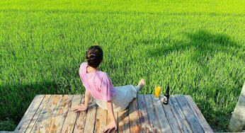 Mê mẩn với 5+ quán cafe đẹp Hội An cho bạn check in