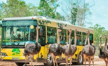 5+ Địa điểm check in Phú Quốc cực đẹp cho mùa hè