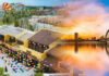 Tour Đà Nẵng Hội An 1 ngày: Trọn vẹn trải nghiệm từ biển đến phố cổ